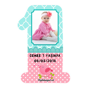 Sevimli Kuşlar Temalı Doğum Günü Magnet