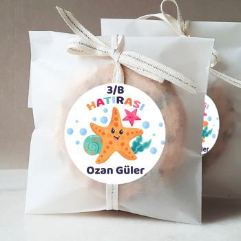 Sevimli Yıldız ile Sınıf Hatırası Temalı Sticker
