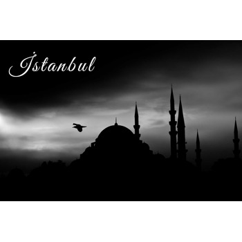 Siyah Beyaz Sultan Ahmet Camii Temalı Magnet