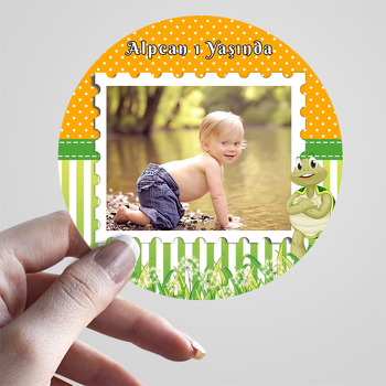 Tosbağa Turuncu Yeşil Fon Temalı Resimli Sticker