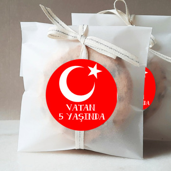 Türk Bayrak Temalı Sticker