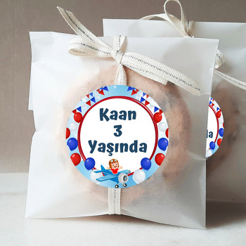 Uçak ile Pilot Temalı Parti Sticker