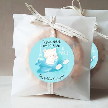 Uçaklı Beyaz Kedi Temalı Sticker