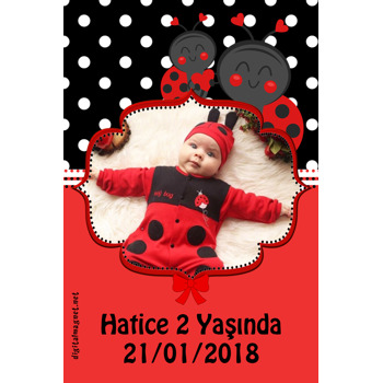 Uğur Böceği 2 Temalı Doğum Günü Afiş