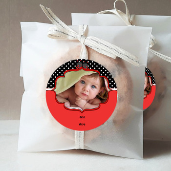 Uğur Böceği 2 Temalı Resimli Sticker