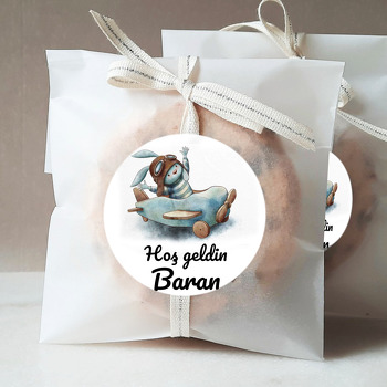 Vintage Uçaklı Tavşan Temalı Sticker