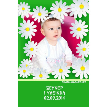 Yeşil Papatya Çerçeveli Magnet