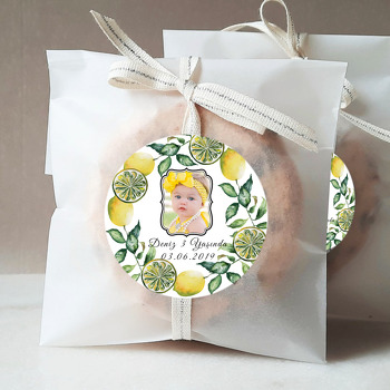 Yeşil Yapraklı Limon Temalı Resimli Sticker