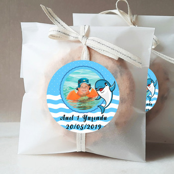 Yunus Balığı Temalı Resimli Sticker